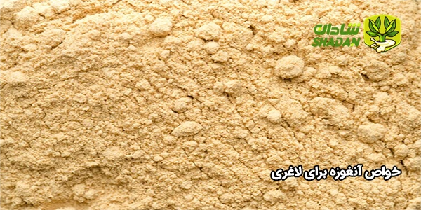 خواص آنغوزه برای لاغری