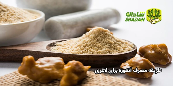 طریقه مصرف آنغوزه برای لاغری