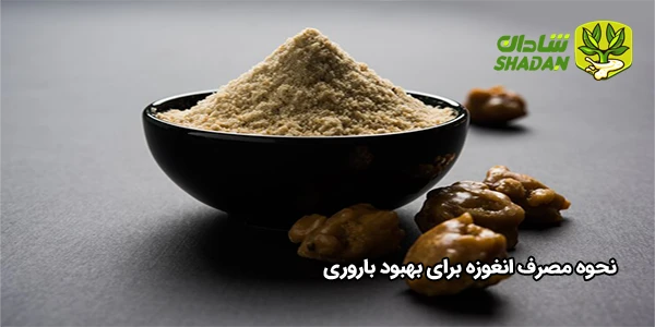 نحوه مصرف انغوزه برای بهبود باروری