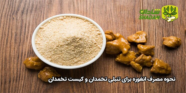 نحوه مصرف انغوزه برای تنبلی تخمدان و کیست تخمدان