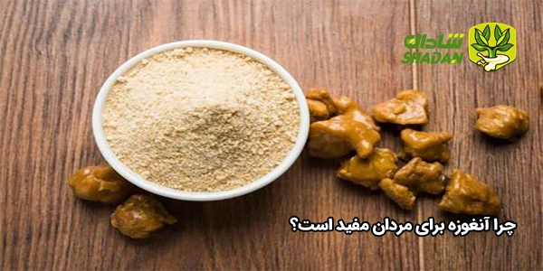 چرا آنغوزه برای مردان مفید است؟