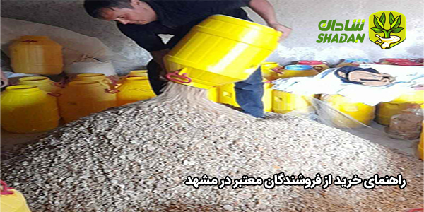 راهنمای خرید از فروشندگان معتبر در مشهد