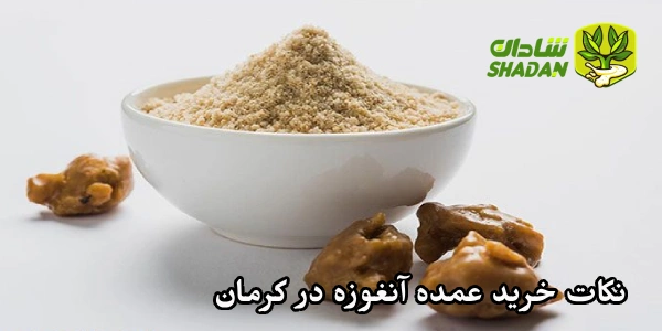 نکات خرید عمده آنغوزه در کرمان