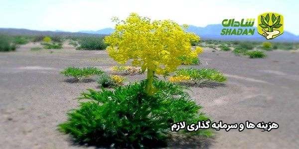 هزینه‌ ها و سرمایه‌ گذاری لازم