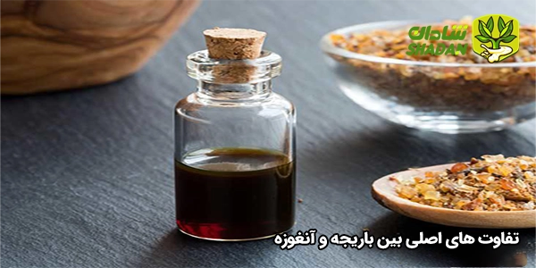 تفاوت‌ های اصلی بین باریجه و آنغوزه