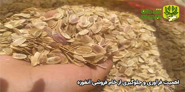 اهمیت فرآوری و جلوگیری از خام فروشی آنغوزه