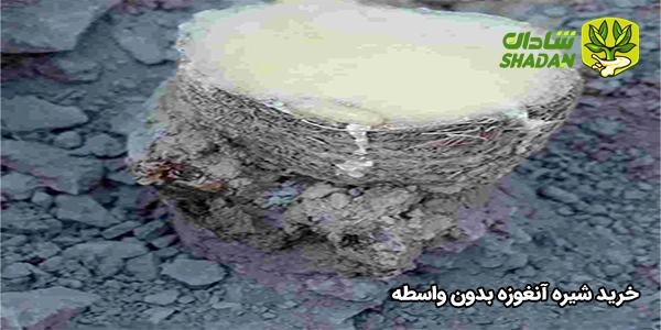 خرید شیره آنغوزه بدون واسطه