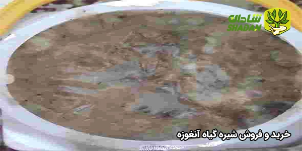 خرید و فروش شیره گیاه آنغوزه