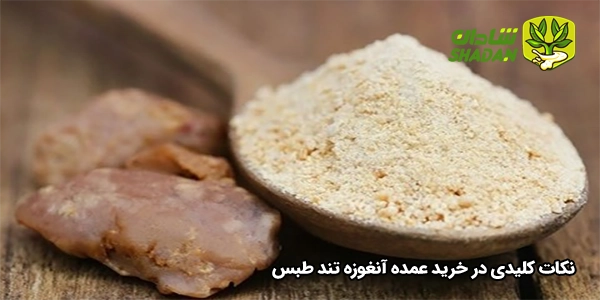 نکات کلیدی در خرید عمده آنغوزه تند طبس