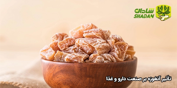 تأثیر آنغوزه بر صنعت دارو و غذا