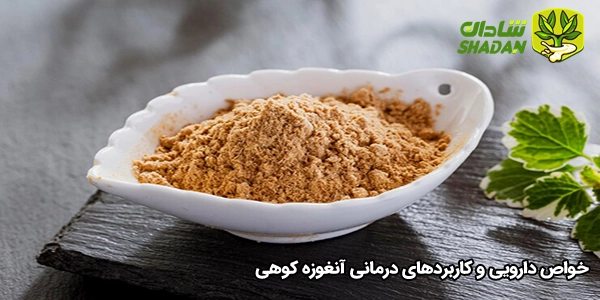 خواص دارویی و کاربردهای درمانی آنغوزه کوهی