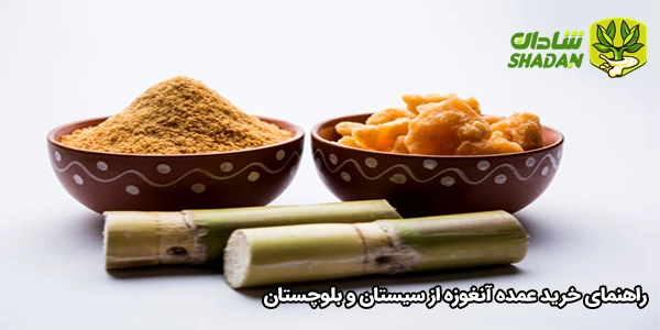 راهنمای خرید عمده آنغوزه از سیستان و بلوچستان