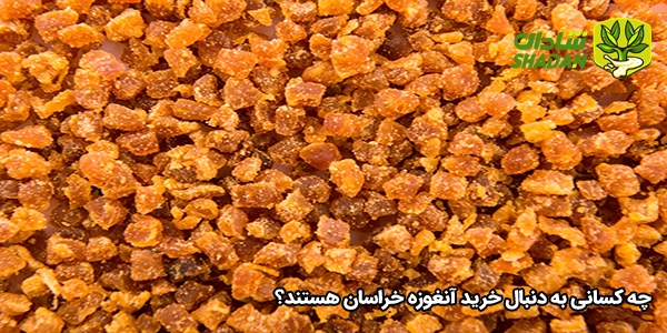 چه کسانی به دنبال خرید آنغوزه خراسان هستند؟