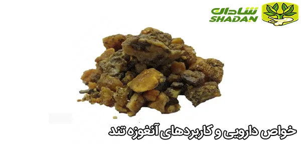 خواص دارویی و کاربردهای آنغوزه تند