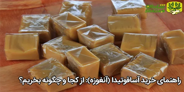 راهنمای خرید آسافوتیدا (آنغوزه): از کجا و چگونه بخریم؟