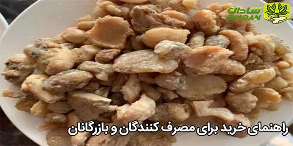 راهنمای خرید برای مصرف‌ کنندگان و بازرگانان