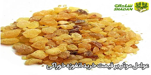 عوامل موثر بر قیمت خرید انغوزه خوراکی