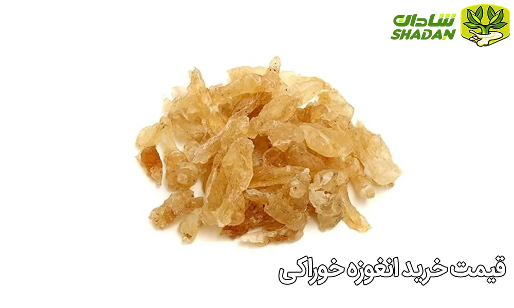 قیمت خرید انغوزه خوراکی