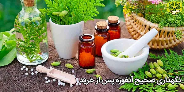نگهداری صحیح آنغوزه پس از خرید